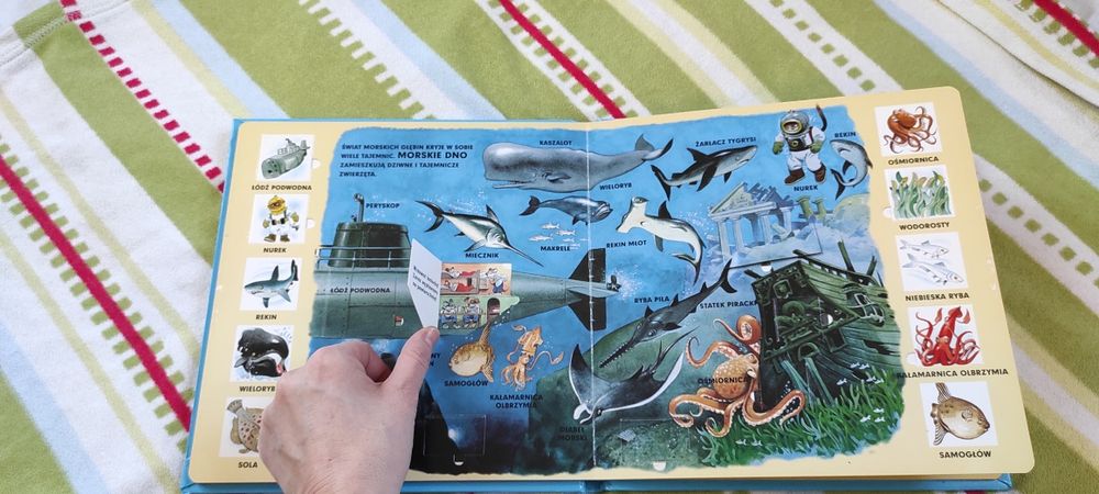 Morze. Tony Wolf wyszukiwanka z okienkami