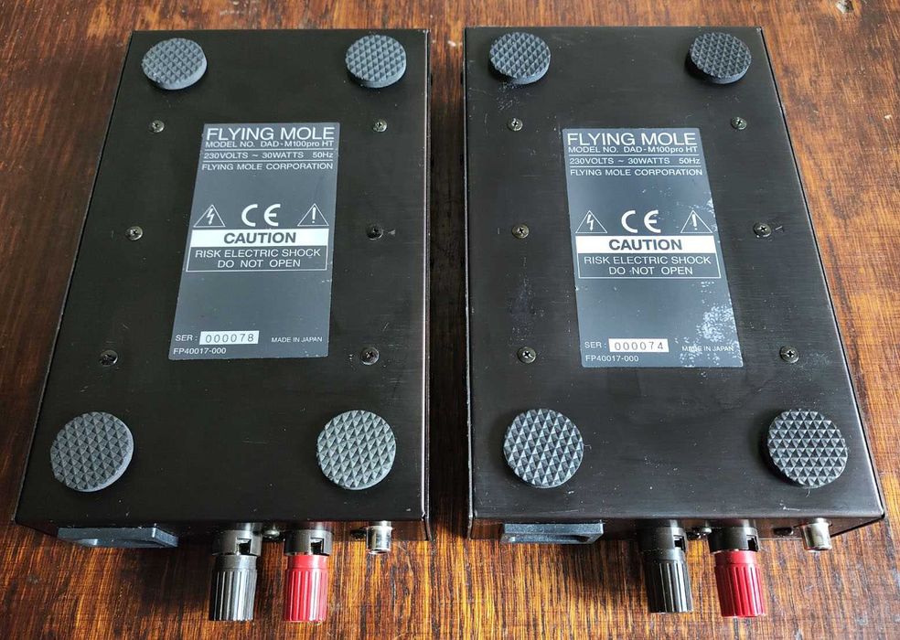 Flying Mole DAD-M100pro, два моноусилителя мощности, 100W 8ohm, Japan