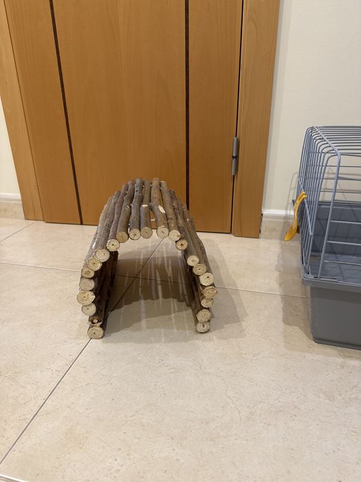 Gaiola coelho e outros roedores