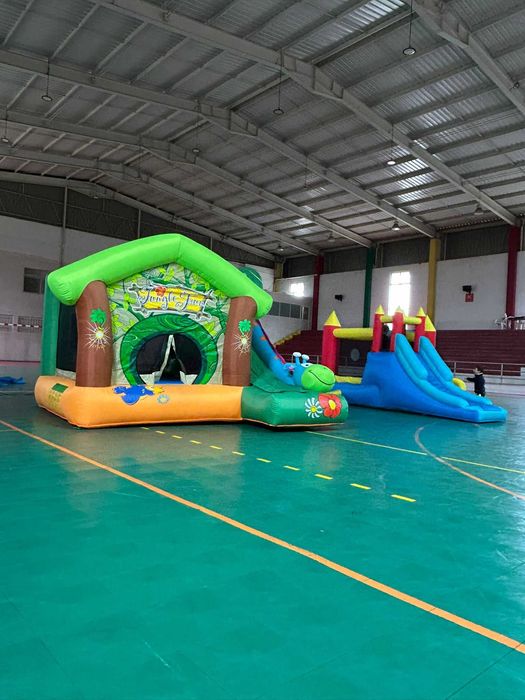 Insufláveis e Animações