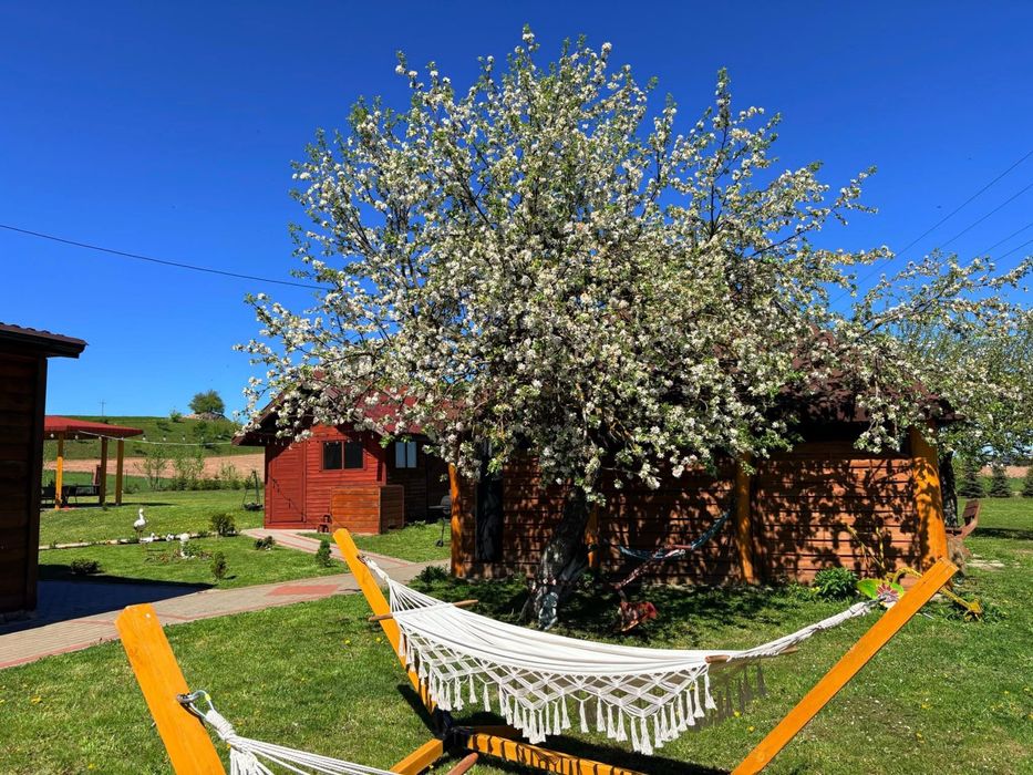 Domek z sauną i jacuzzi wolne terminy SUPER CENA!