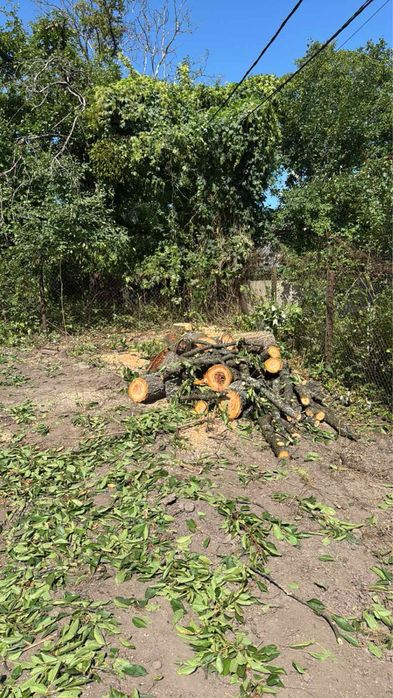 Порізка,чистка ділянок,обрізка дерев, корчування коріння