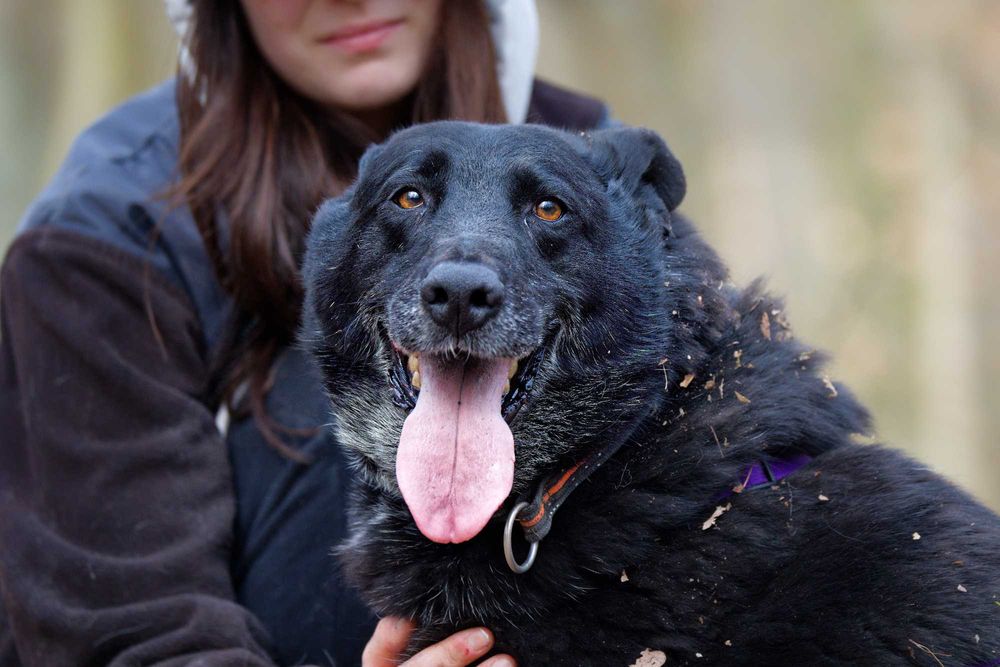 Malina-cud dziewczyna [FILM]