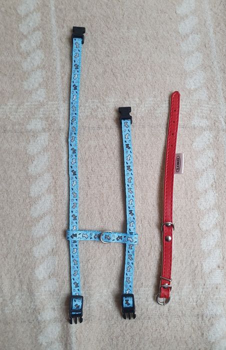 Szelki i obroża dla kota/psa