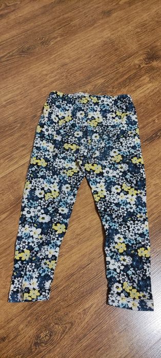 Лосини  1-2 роки