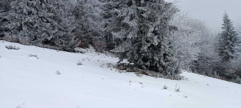 Земля в Закарпатті біля озера "Синевир"