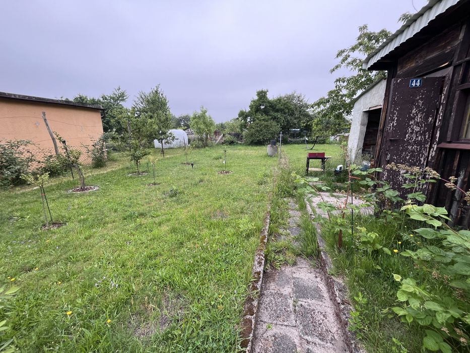 Działka ROD 322m² Jędrzychów – prąd, woda, studnia, pełne wyposażenie – gotowa od zaraz! - Widok 2
