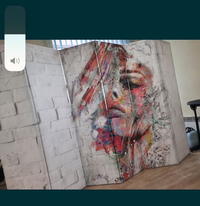 Ширма перегородка