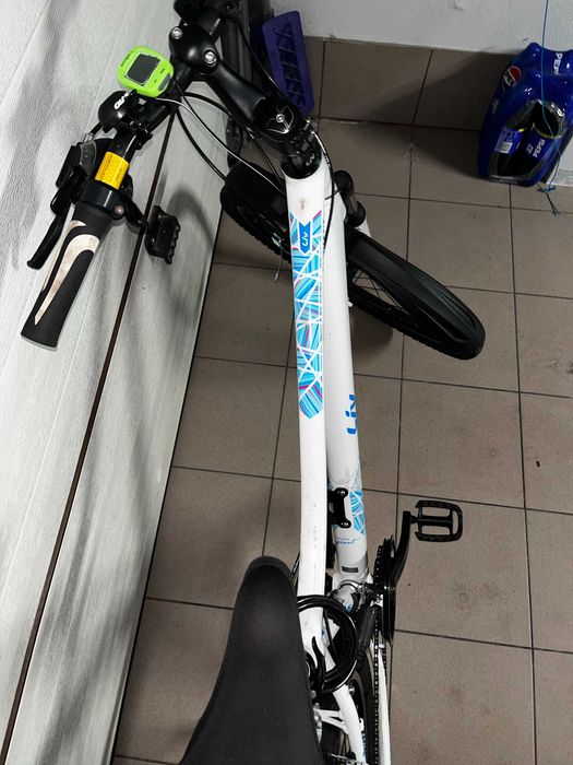 Rower Giant Liv Enchant 26'