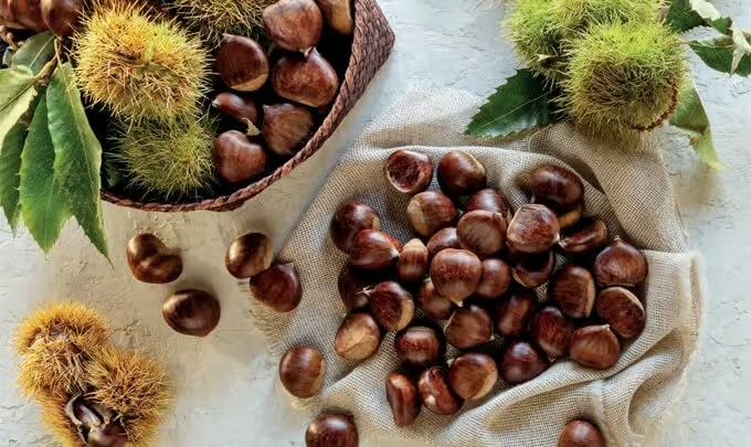 Vendo castanhas 5€/kilo
