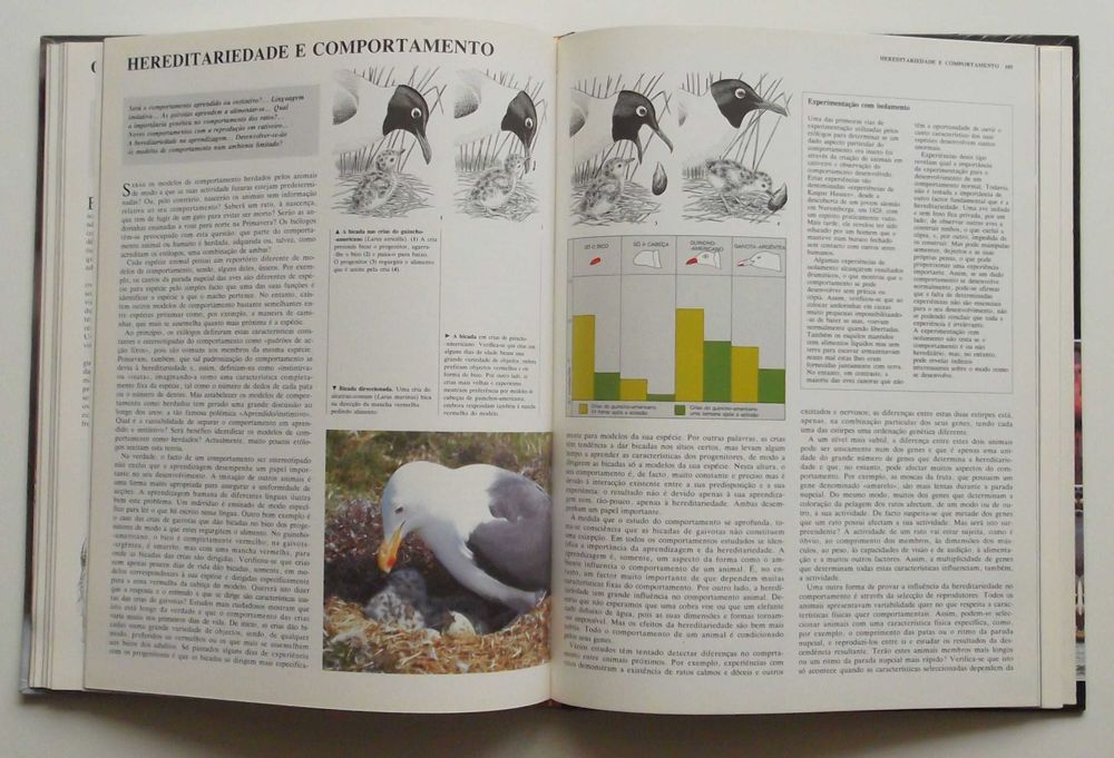 Livros Animais de Todo o Mundo