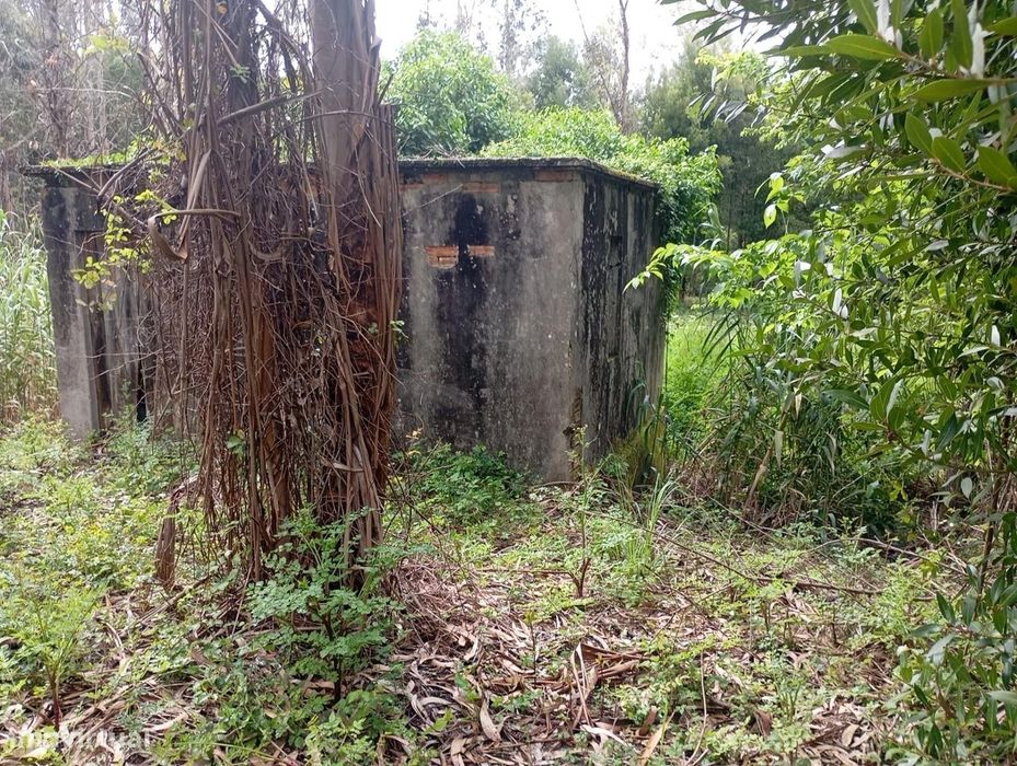 Terreno  com moinho, na rota dos mionhos em Ouca – Vagos