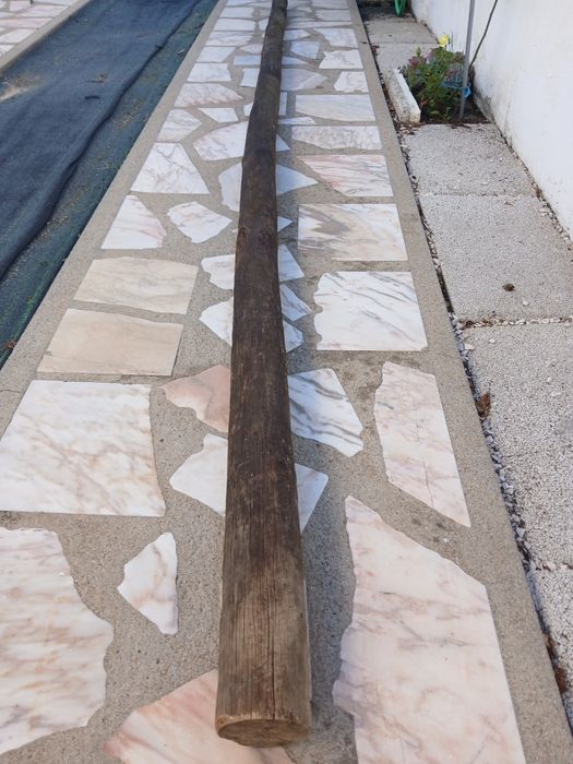 Aproveite Pau tratado com 4 metros de comprimento e 11 cm de grussura.