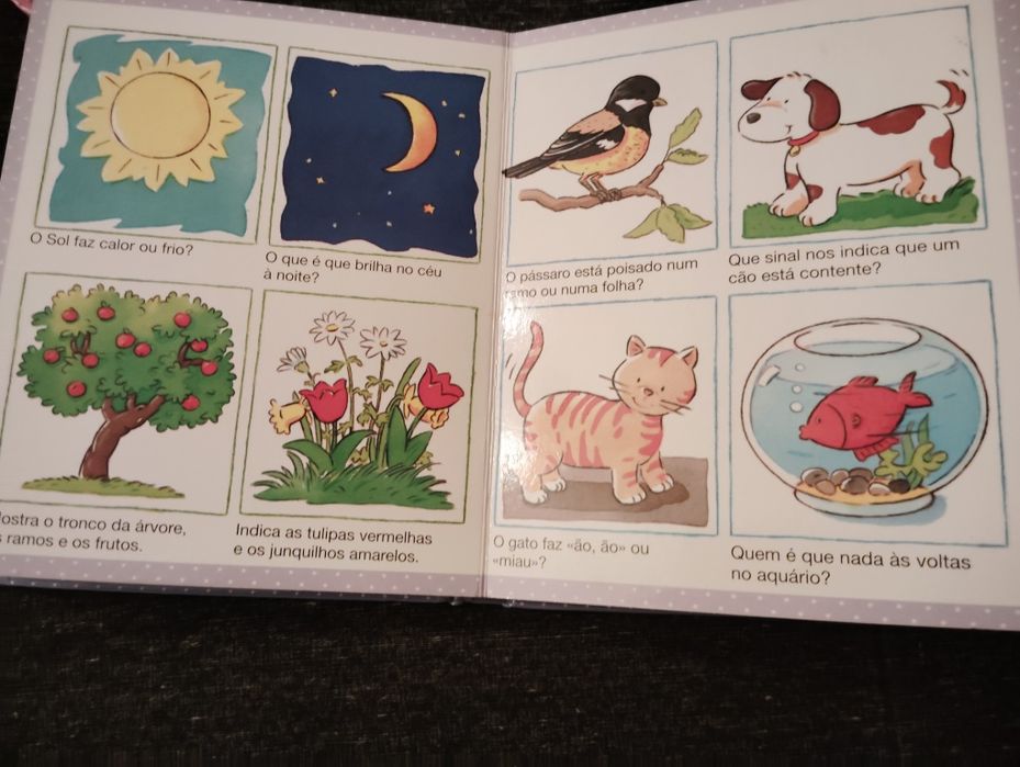 Livros Dicionário Por Imagens dos Pequeninos Usados