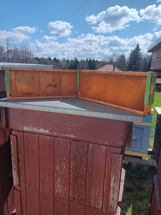 Ramki wielkopolskie 1/2