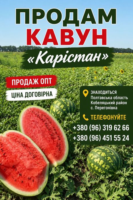 Продам кавун Карістан опт