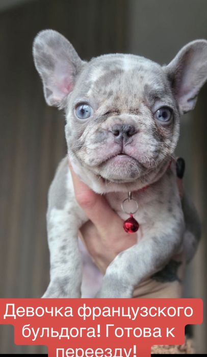 Мини! Голубые глазки девочка