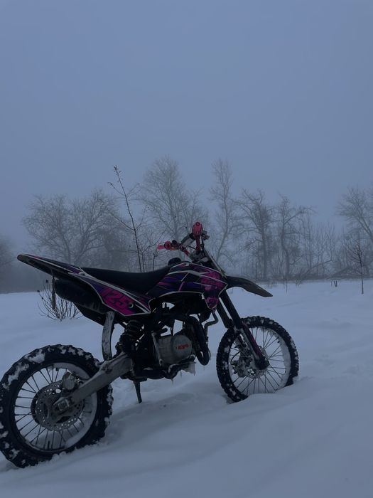 Kayo tt 125 2024 years