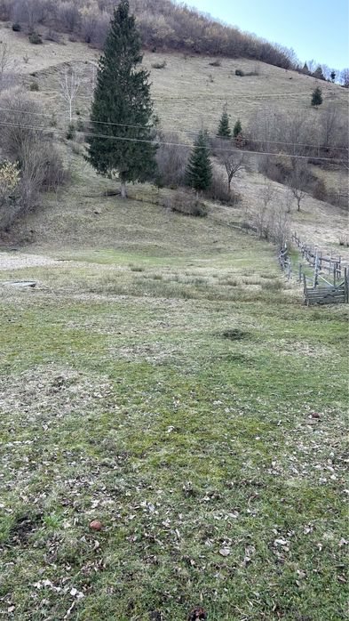 Земельна ділянка 12 сот