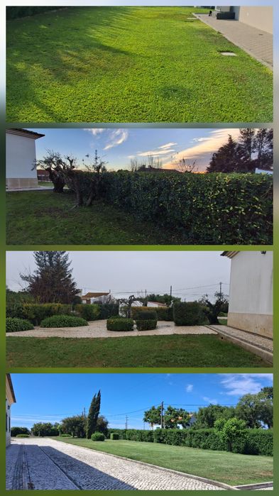 Trabalho de jardinagem
