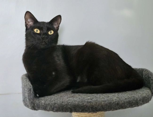 Rubi szuka domu tymczasowego!