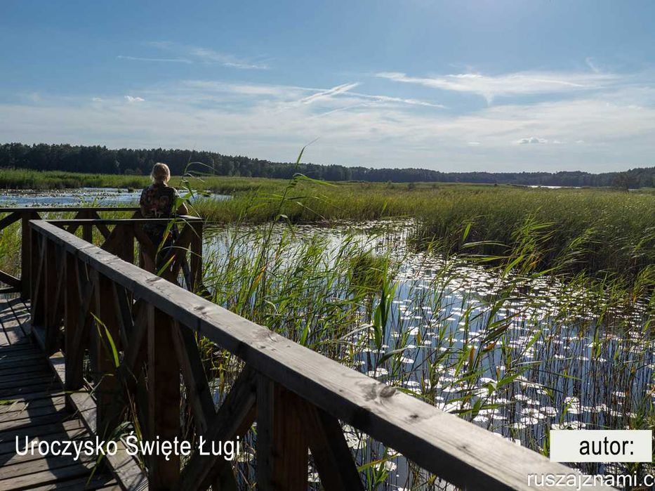 Mały domek na urlop pod lasem Nocleg