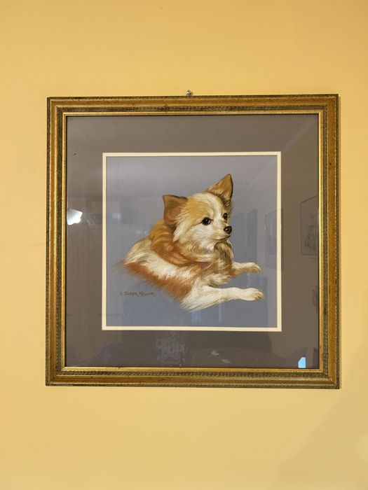 Obraz pastelowy chihuahua USA Sally Baker Keller