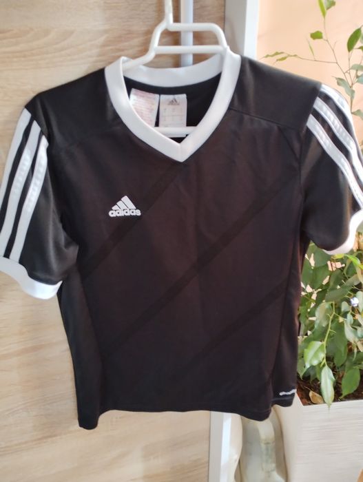Koszulki adidas 146
