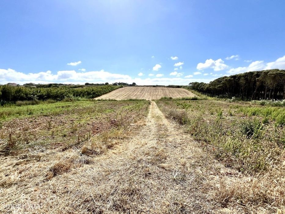 Terreno agrícola localizado perto da Praia Azul — Silveira, Lisboa