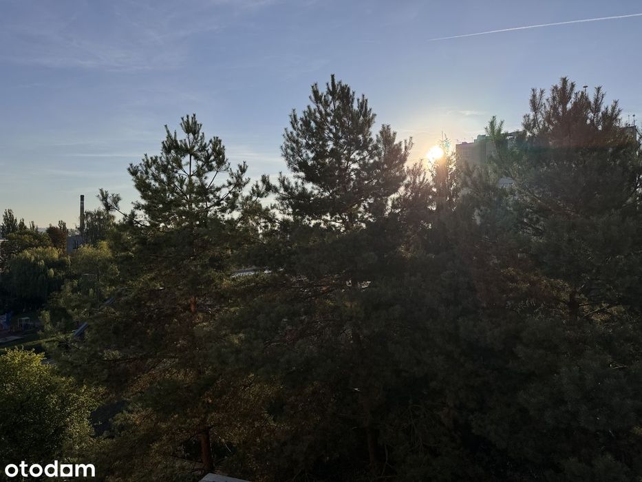 CENTRUM | 2 pokoje I Balkon I Widna kuchnia I Dofinansowanie do okien!