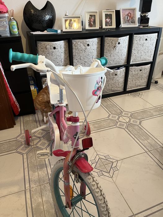 Bicicleta infantil femenina (com rodinhas)