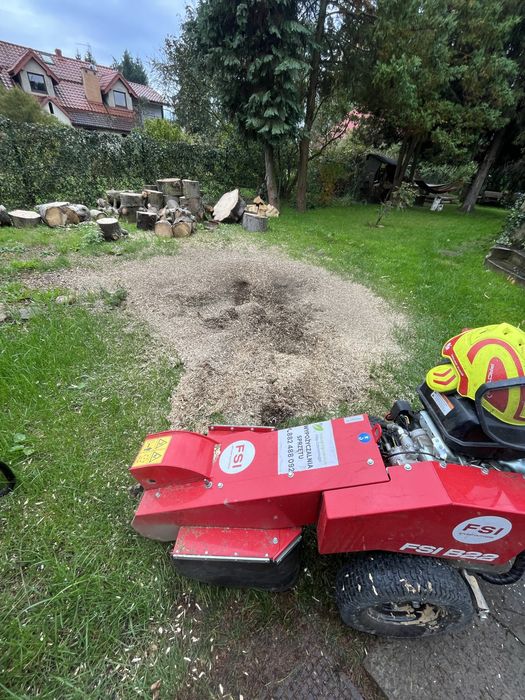 Frezowanie pni drzew, oferta zimowa - dużo niższe ceny niż w sezonie!