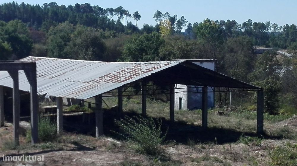 Armazém em Mangualde