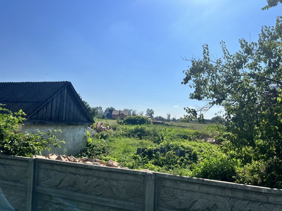 Продам ділянку 42,57сотки с.Іванків Бориспільський р-н - Вид 4