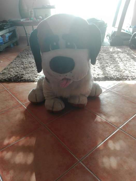 Cao de peluche grande cerca de 60cm