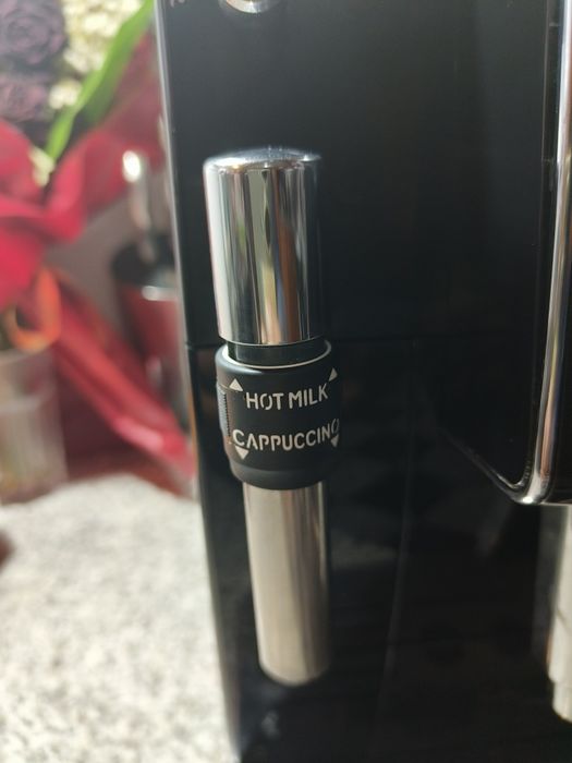 Delonghi magnífica S