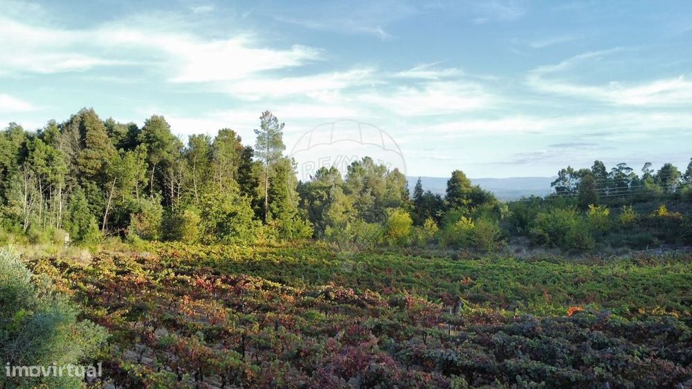 Terreno  para venda