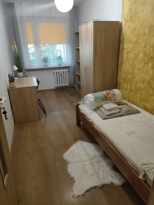 POKÓJ, Wynajmę pokój RZESZÓW ul.Dąbrowskiego.PARTER