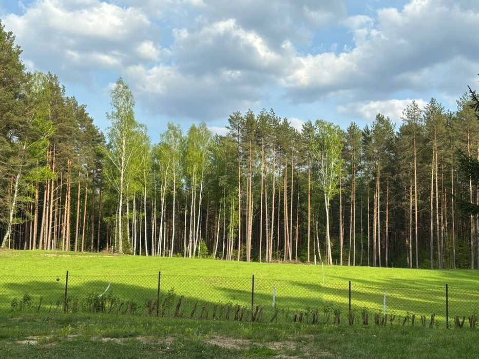 Działka z warunkami zabudowy (WZ) Wymój/Stawiguda