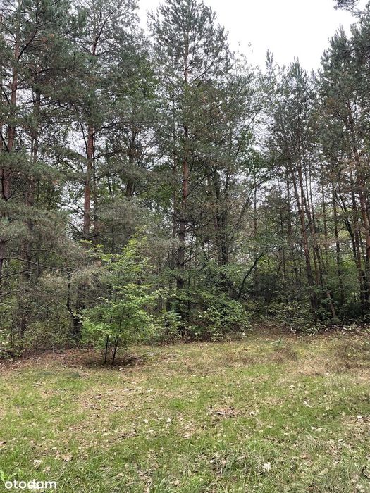 Działki o pow. 4583 m2 pod budowę 6 budynków 2-lokalowych | Józefów
