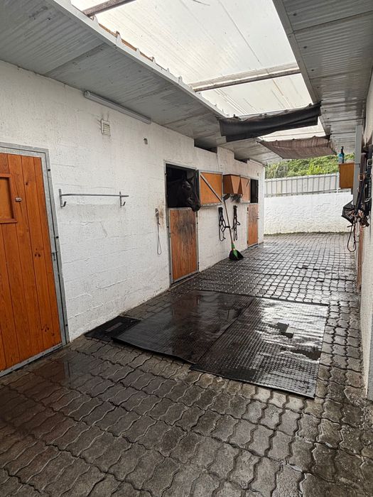 Aceitamos cavalos a penso