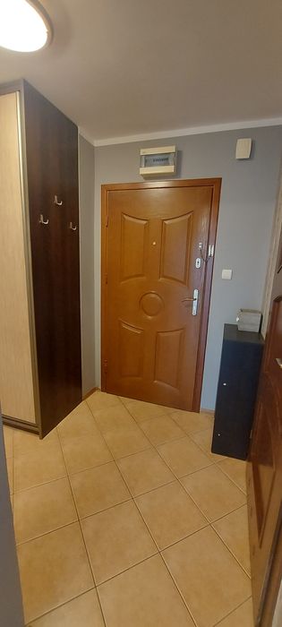 Mieszkanie do wynajęcia