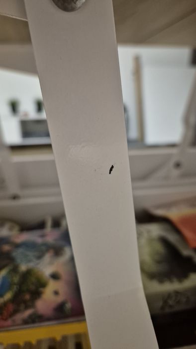 Sprzedam Stoł/ Ławostół