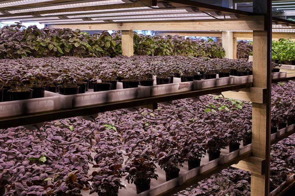 Виробниче чи складське приміщення в оренду