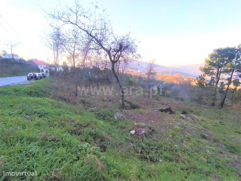 Terreno / Cinfães, Cinfães