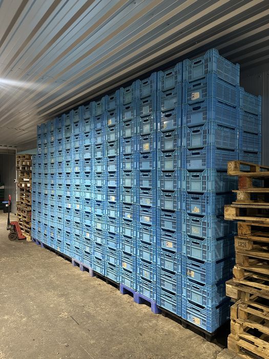 Ящик пластиковий харчовий.