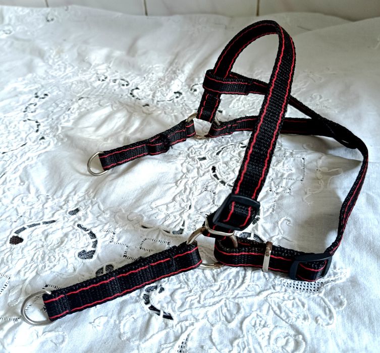 Шлея ,ошийник для кішок і собак