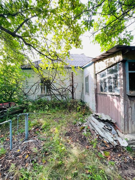 Продається Будинок, Гостролуччя з ділянкою 62 сотки