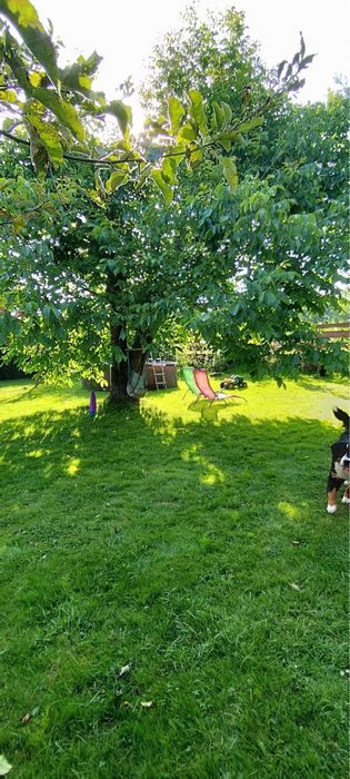 noclegi Ustroń  dom 8 os z balią