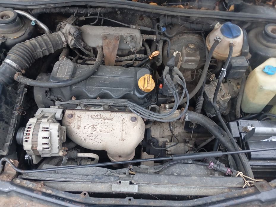 Розбір Черіка амулет